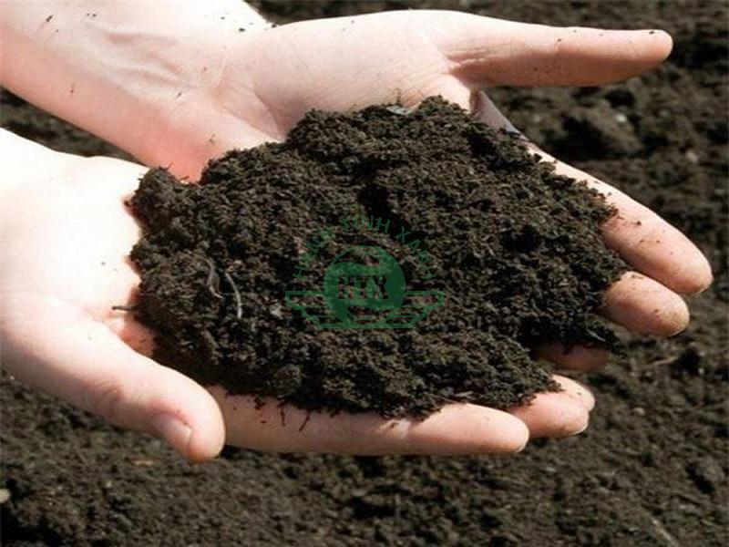 Compost là gì? Có bao nhiêu loại compost và công dụng của từng loại