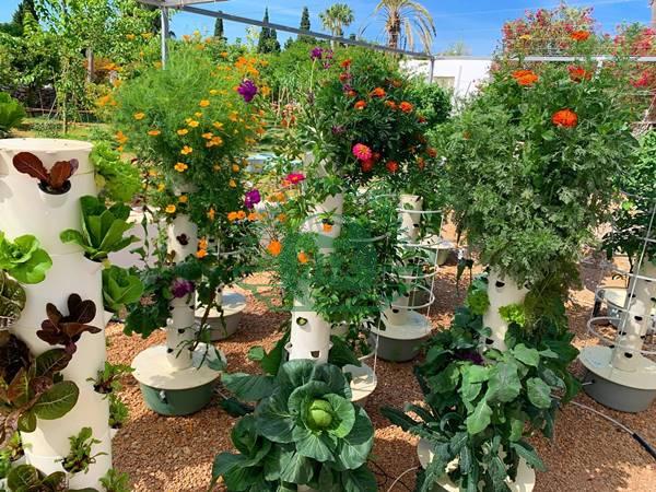 4 mô hình tháp trồng rau sạch tại nhà hiệu quả  Vườn thông minh