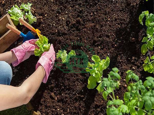 cách làm đất hữu cơ trồng rau