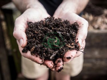 Quá trình compost từ chất thải hữu cơ không gây mùi hôi khó chịu