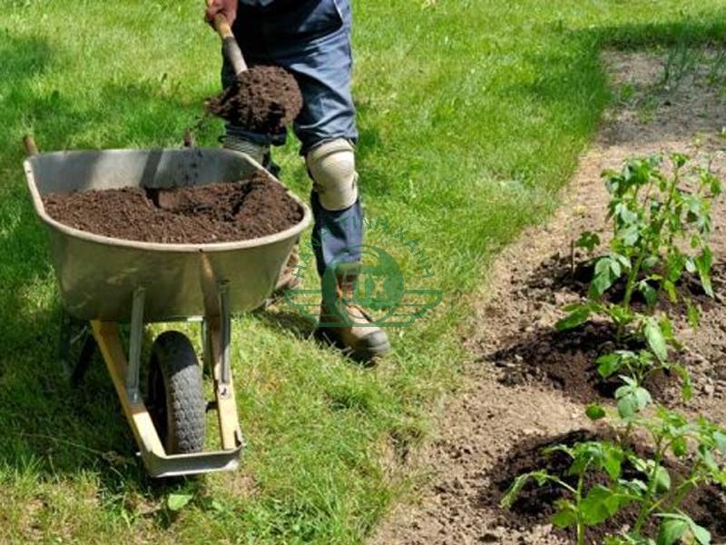 Quy trình ủ phân compost hiệu quả cao, tăng năng suất cây trồng