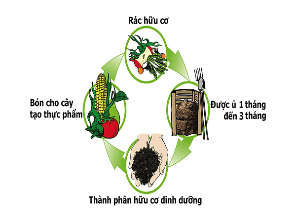 Hiệu quả từ mô hình tạo phân compost từ rác hữu cơ