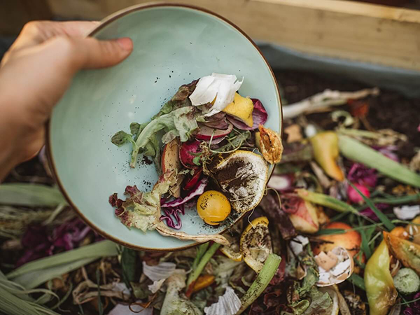 Mách bạn 4 cách ủ rác nhà bếp trồng rau đơn giản, hiệu quả cao