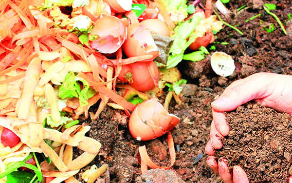Ủ phân hữu cơ bằng rác nhà bếp tăng dinh dưỡng cho đất trồng