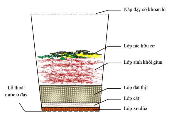 Mô tả mô hình nuôi giun xử lý rác thải hữu cơ