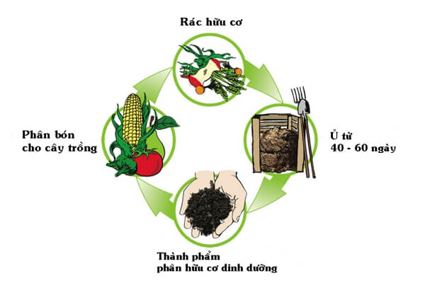 Xử lý rác hữu cơ bằng phương pháp ủ