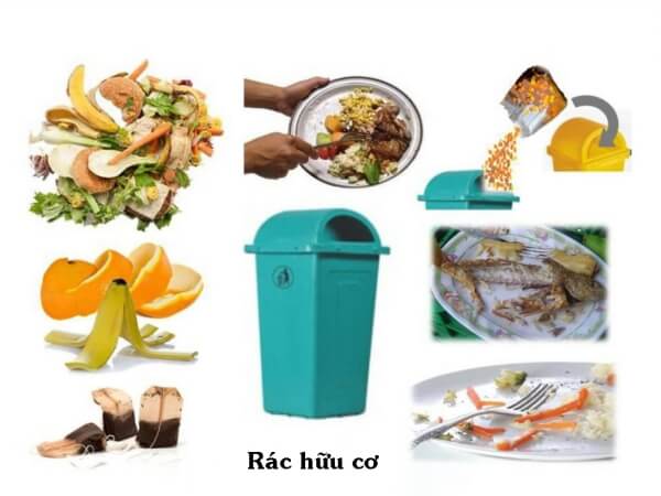 Xử lý rác thải hữu cơ
