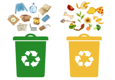 Thùng phân loại rác: cách đơn giản bảo vệ môi trường xung quanh ta